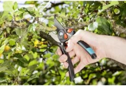 GARDENA - Comfort B/S-XL Bypass - Snoeischaar - Ø 24 Mm - 25 Jaar Garantie -Tuingereedschap Serie Winkel 1200x825 3