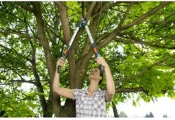 GARDENA - TeleCut Telescopische - Takkenschaar 520-670B - 42 Mm Verstelbare Lengte -Tuingereedschap Serie Winkel 1200x825 6