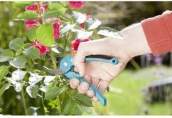 GARDENA - Classic B/S-M Bypass Snoeischaar - Ø 22mm - 25 Jaar Garantie -Tuingereedschap Serie Winkel 1200x825 8