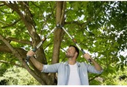 Gardena TeleCut Takkenschaar 650-900 B - Uitschuifbare Armen - Tot Max 90 Cm -Tuingereedschap Serie Winkel 1200x826 3