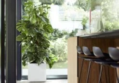 Elho Vivo Matt Finish Vierkant Wielen 40 - Grote Plantenbak Voor Binnen & Buiten - Gemaakt Van Gereycled Plastic - L 39 X W 39 X H 41 Cm - Wit -Tuingereedschap Serie Winkel 1200x832 5