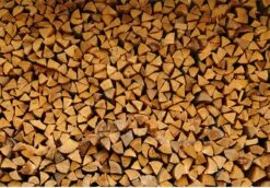 Steko Houtsplijter Voor Grote Blokken - Voor Aanmaakhout & Brandhout - Houtklover - Houtkliever - Splijtwig - Handmatig - Overal Te Gebruiken 1605 Gram - Metaal - Kloofwig - HOGE VOLUMEKORTING -Tuingereedschap Serie Winkel 1200x837 1