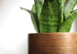 Capi Europe - Bloempot Bol Retro - 23x21 - Goud - Bloempot Voor Binnen - BRTG134 -Tuingereedschap Serie Winkel 1200x844 10