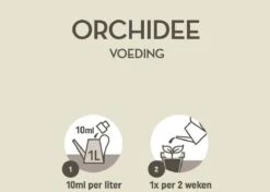 Pokon Orchidee Voeding - 500ml - Plantenvoeding - 10ml Per 1L Water -Tuingereedschap Serie Winkel 1200x856 6