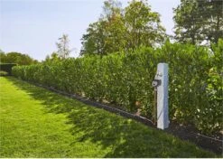 GARDENA - Besproeiingscomputer Flex - Geen App Vereist 20 GARDENA - Besproeiingscomputer Flex - Geen App Vereist -Tuingereedschap Serie Winkel 1200x856 7