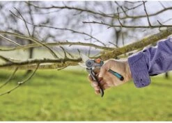 GARDENA - ExpertCut - Snoeischaar - 22 Diameter Tak -Tuingereedschap Serie Winkel 1200x859 2