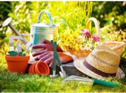 Tuingereedschap Set Tuinierset 10 Delig - Snoeischaar Tuinschaar Bloemenschaar Tuinschepje Plantenspuit Handhark -Tuingereedschap Serie Winkel 1200x885 2