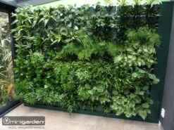 Minigarden Vertical Verticale Tuin - Wit -Tuingereedschap Serie Winkel 1200x900 112