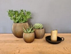 Capi Europe - Set Van 3 - Bloempot Binnen - Groove - - Goud - Bloempot Voor Binnen - BOX-BGVGB-3 -Tuingereedschap Serie Winkel 1200x912 3