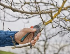 GARDENA - ExpertCut - Snoeischaar - 22 Diameter Tak -Tuingereedschap Serie Winkel 1200x929