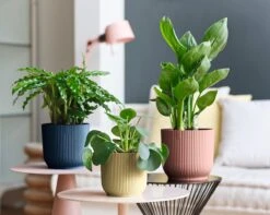 Elho Vibes Fold Rond Wielen 35 - Bloempot Voor Binnen - Ø 34.9 X H 32.4 Cm - Diepblauw -Tuingereedschap Serie Winkel 1200x956 3