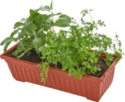 Tectake - Verticaal Plantenrek Met 4 Bakken - 403445 -Tuingereedschap Serie Winkel 1200x975 8