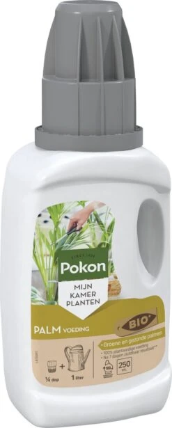 Pokon Bio Palm Voeding - 250ml - Plantenvoeding (bio) - 7ml Per 1L Water -Tuingereedschap Serie Winkel 482x1200 1