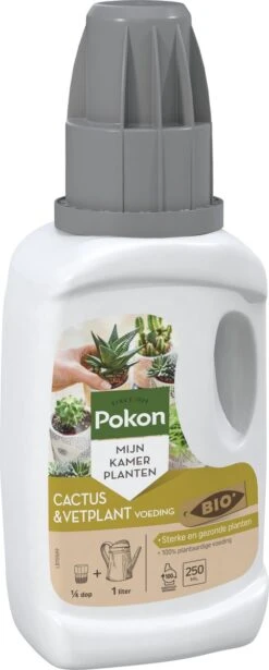 Pokon Bio Cactus & Vetplant Voeding - 250ml - Plantenvoeding (bio) - 7ml Per 1L Water -Tuingereedschap Serie Winkel 482x1200 2