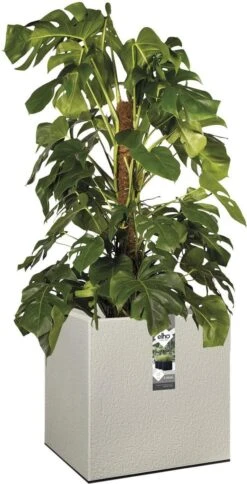 Elho Vivo Structure Finish Vierkant 40 - Plantenbak Voor Binnen & Buiten - Ø 39 X H 41 - Grijs/Warm Grijs -Tuingereedschap Serie Winkel 613x1200 3