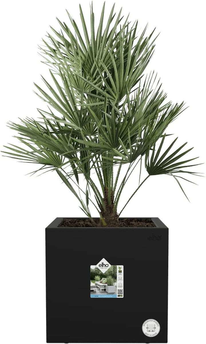 Elho Vivo Next Vierkant 30 - Plantenbak Voor Binnen & Buiten - Ø 29.5 X H 29.5 Cm - Zwart/Living Black 13 Elho Vivo Next Vierkant 30 - Plantenbak Voor Binnen & Buiten - Ø 29.5 X H 29.5 Cm - Zwart/Living Black - Afbeelding 11
