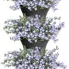 Elho Corsica Vertical Forest 24 - Bloempot Voor Balkonbuiten - Ø 26.7 X H 29.7 Cm - Zwart/Antraciet -Tuingereedschap Serie Winkel 765x1200 3