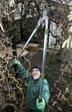 Telescopische Takkenschaar, 6-voudig -Tuingereedschap Serie Winkel 775x1200