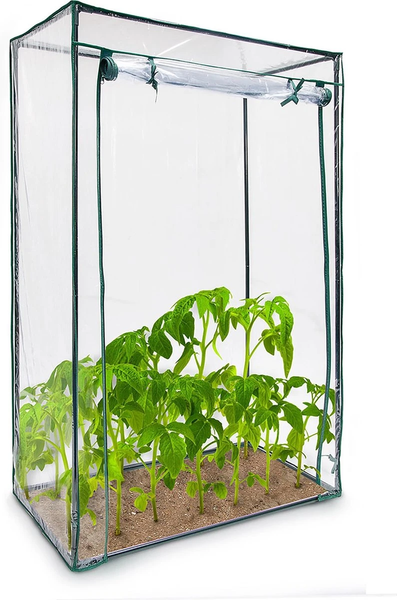 Relaxdays Tomatenkas 150x100x50 Cm - Tuinkas Tomaten - Foliekas - Serre - Kweekkas - PVC 3 Relaxdays Tomatenkas 150x100x50 Cm - Tuinkas Tomaten - Foliekas - Serre - Kweekkas - PVC