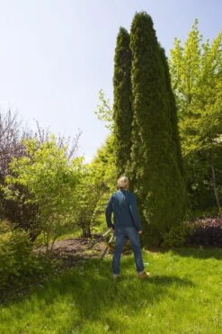 GARDENA TeleCut Heggenschaar - Telescopische Handgrepen Van 70-90 Cm -Tuingereedschap Serie Winkel 799x1200 31