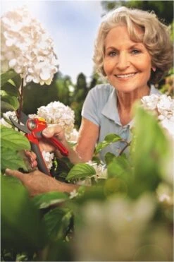 WOLF-Garten Snoeischaar "Premium Plus" RR 4000 - Max. Knipdiameter 22 Mm - Links- En Rechtshandige - Softinleg Handgreep - Snijhoek 30° - Voor Grote Handen - Vervangbare Messen 23 WOLF-Garten Snoeischaar "Premium Plus" RR 4000 - Max. Knipdiameter 22 Mm - Links- En Rechtshandige - Softinleg Handgreep - Snijhoek 30° - Voor Grote Handen - Vervangbare Messen -Tuingereedschap Serie Winkel 800x1200 12