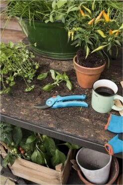 GARDENA - Classic B/S-M Bypass Snoeischaar - Ø 22mm - 25 Jaar Garantie -Tuingereedschap Serie Winkel 800x1200 13