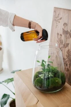 24DOTS Living Plantenspuit | 500 Ml Bruin Amber Glas | Plantensproeier | Plantenspuit Binnen | Waterverstuiver | Vernevelaar -Tuingereedschap Serie Winkel 800x1200 137