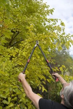 Kreator KRTGR4003 Telescopische Takkenschaar – Jong Hout - Knipdiameter: Ø34 Mm 9 Kreator KRTGR4003 Telescopische Takkenschaar – Jong Hout - Knipdiameter: Ø34 Mm -Tuingereedschap Serie Winkel 800x1200 14