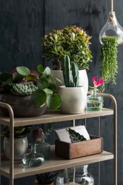 Mica Decorations Lester Bloempot - H22 X Ø24 Cm - Terracotta - Groen -Tuingereedschap Serie Winkel 800x1200 187