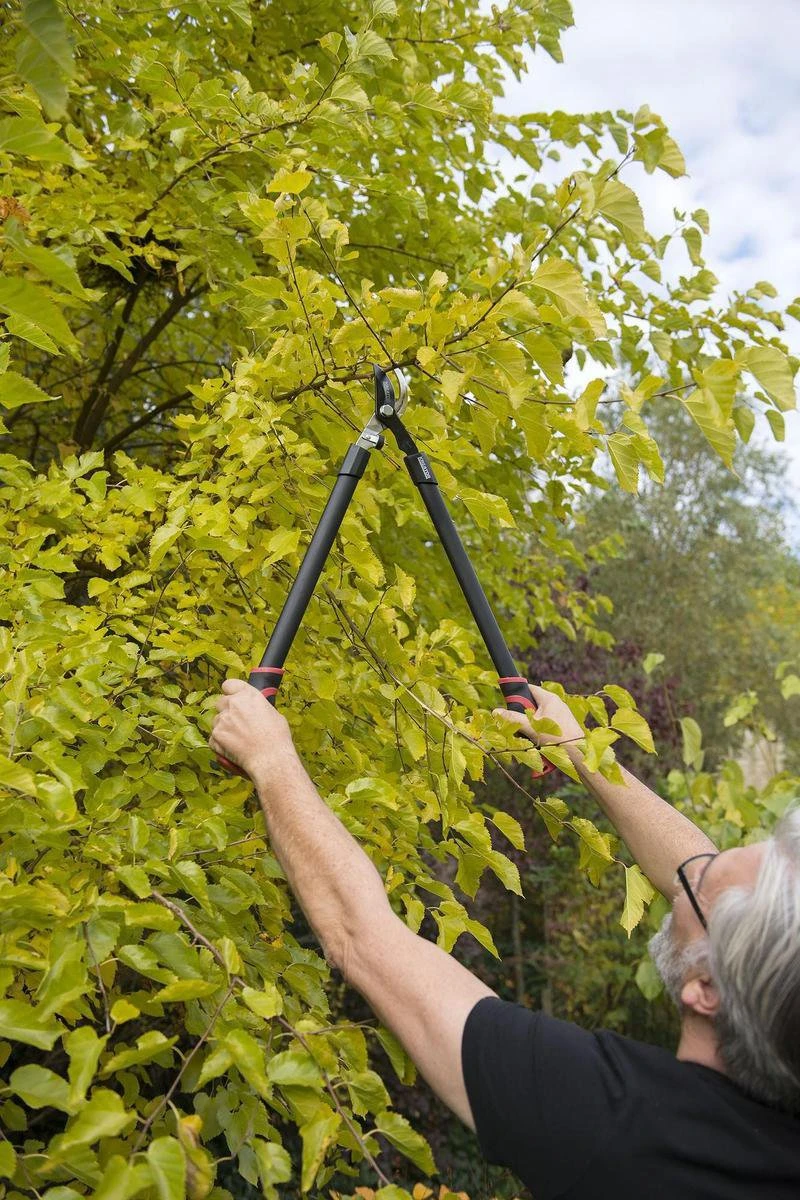 Kreator KRTGR4001 Takkenschaar - 650mm 5 Kreator KRTGR4001 Takkenschaar - 650mm - Afbeelding 3