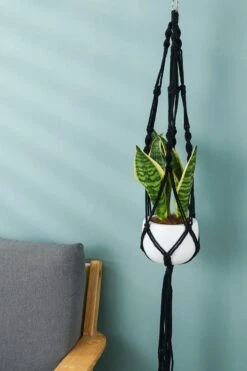 4 Stuks Zwarte Macrame Plantenhangers - Boho Handgeweven Katoen Hangpot Voor Binnen/Buiten - Hangende Bloempot Met Kralen - Macramé Touw/Koord Hangplant Houder - Bohemian Wandhanger Decoratie - Plant Hanger - Verticale Tuin Bloempothouder Planthanger -Tuingereedschap Serie Winkel 800x1200 195