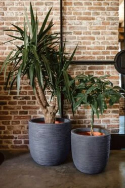 Capi Europe - Bloempot Bol Rib NL - 35x34 - Zwart - Voor Binnen En Buiten - KBLR932 -Tuingereedschap Serie Winkel 800x1200 197