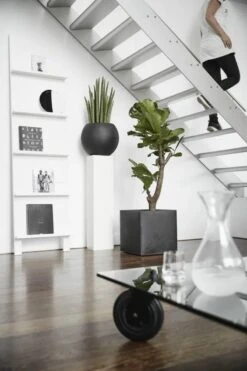 Capi Europe - Bloempot Vierkant Smooth NL - 40x40x40 - Zwart - Voor Binnen En Buiten - KBL903 -Tuingereedschap Serie Winkel 800x1200 199