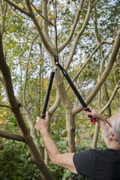 Kreator KRTGR4001 Takkenschaar - 650mm 9 Kreator KRTGR4001 Takkenschaar - 650mm -Tuingereedschap Serie Winkel 800x1200 20