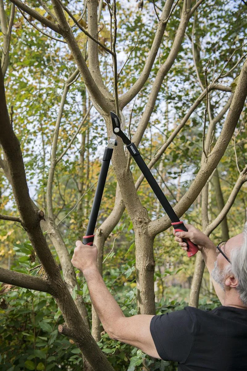 Kreator KRTGR4001 Takkenschaar - 650mm 6 Kreator KRTGR4001 Takkenschaar - 650mm - Afbeelding 4