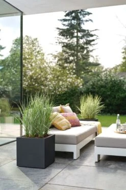 Elho Vivo Next Vierkant 30 - Plantenbak Voor Binnen & Buiten - Ø 29.5 X H 29.5 Cm - Zwart/Living Black 28 Elho Vivo Next Vierkant 30 - Plantenbak Voor Binnen & Buiten - Ø 29.5 X H 29.5 Cm - Zwart/Living Black -Tuingereedschap Serie Winkel 800x1200 207