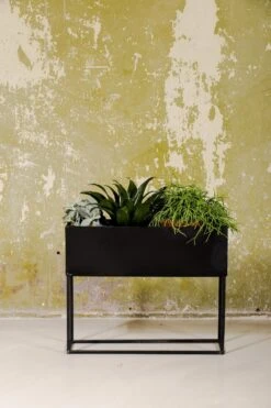 SENZA Rechthoekige Plantenbak - Bloemenbak Ijzer - 42.5 X 34cm - Zwart -Tuingereedschap Serie Winkel 800x1200 208