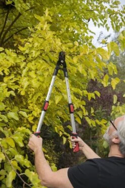 Kreator KRTGR4013 Telescopische Takkenschaar - 63-89 Cm Totale Lengte - . Ø39 Mm Knipdiameter -Tuingereedschap Serie Winkel 800x1200 21