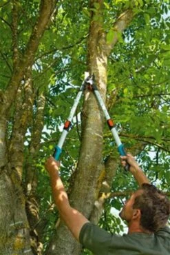 Gardena TeleCut Takkenschaar 650-900 B - Uitschuifbare Armen - Tot Max 90 Cm -Tuingereedschap Serie Winkel 801x1200 1