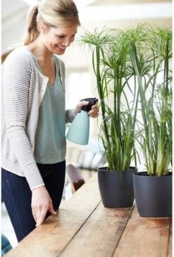 Elho Brussels Sprayer 12 - Plantenspuit Voor Binnen - Ø 11.3 X H 22.3 Cm - Groen/Mint -Tuingereedschap Serie Winkel 813x1200 8