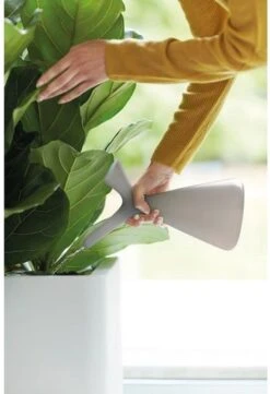 Elho Plunge Gieter 20 - Gieter Voor Binnenaccessoires - Ø 15.0 X H 29.5 Cm - Grijs/Warm Grijs -Tuingereedschap Serie Winkel 820x1200 5