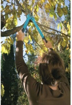 GARDENA Comfort 500 BL Takkenschaar - Max Knipdiameter 35 Mm -Tuingereedschap Serie Winkel 825x1200 4