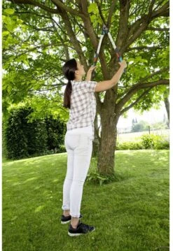 GARDENA - TeleCut Telescopische - Takkenschaar 520-670B - 42 Mm Verstelbare Lengte -Tuingereedschap Serie Winkel 826x1200 1