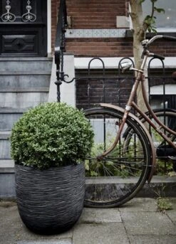 Capi Europe - Bloempot Bol Rib NL - 35x34 - Zwart - Voor Binnen En Buiten - KBLR932 -Tuingereedschap Serie Winkel 864x1200 2