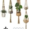 4 Stuks Luxe Jute Plantenhangers - Boho Handgeweven Katoen Hangpot Voor Binnen/Buiten - Hangende Bloempot Met Kralen - Macramé Touw/Koord Hangplant Houder - Bohemian Wandhanger Decoratie - Plant Hanger - Verticale Tuin Bloempothouder Planthanger -Tuingereedschap Serie Winkel 885x1200 4