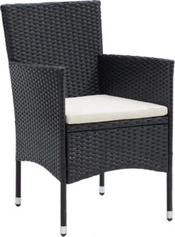 VidaXL 5-delige Tuinset Met Kussens Zwart -Tuingereedschap Serie Winkel 886x1200 1