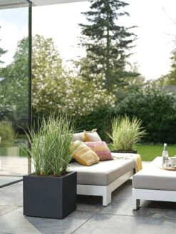 Elho Vivo Next Vierkant 30 - Plantenbak Voor Binnen & Buiten - Ø 29.5 X H 29.5 Cm - Zwart/Living Black 29 Elho Vivo Next Vierkant 30 - Plantenbak Voor Binnen & Buiten - Ø 29.5 X H 29.5 Cm - Zwart/Living Black -Tuingereedschap Serie Winkel 900x1200 41