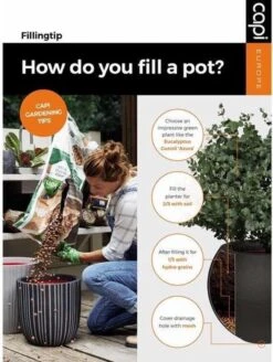 Capi Europe - Bloempot Bol Rib NL - 35x34 - Zwart - Voor Binnen En Buiten - KBLR932 -Tuingereedschap Serie Winkel 903x1200 2