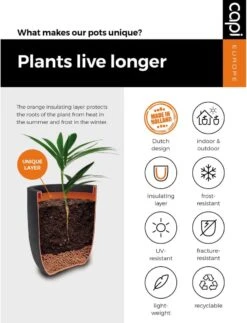 Capi Europe - Bloempot Bol Rib NL - 35x34 - Zwart - Voor Binnen En Buiten - KBLR932 -Tuingereedschap Serie Winkel 917x1200