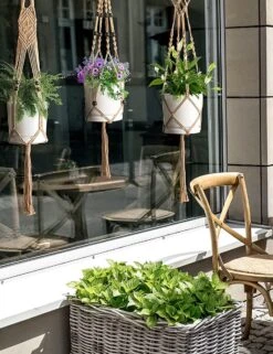 4 Stuks Luxe Jute Plantenhangers - Boho Handgeweven Katoen Hangpot Voor Binnen/Buiten - Hangende Bloempot Met Kralen - Macramé Touw/Koord Hangplant Houder - Bohemian Wandhanger Decoratie - Plant Hanger - Verticale Tuin Bloempothouder Planthanger 12 4 Stuks Luxe Jute Plantenhangers - Boho Handgeweven Katoen Hangpot Voor Binnen/Buiten - Hangende Bloempot Met Kralen - Macramé Touw/Koord Hangplant Houder - Bohemian Wandhanger Decoratie - Plant Hanger - Verticale Tuin Bloempothouder Planthanger -Tuingereedschap Serie Winkel 923x1200 2